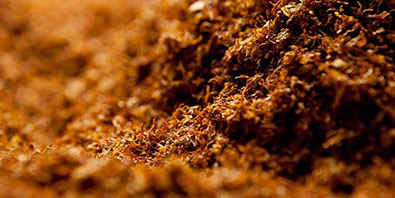 табачное сырье оптом купить