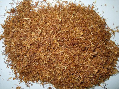 жилка табачного листа