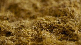 жилка табака